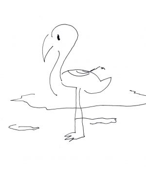 答え:フラミンゴ